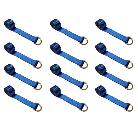 Tie 4 Safe 2" x 10' Lasso Strap w/ D Ring Auto Tie Down Wheel Lift Tow Truck Trailer, 12PK TWS21-510-W27-BU-C-12